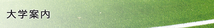 大学案内