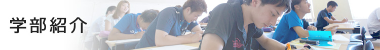 学部紹介
