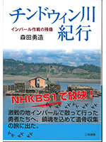 チンドゥイン川紀行