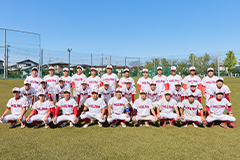 関甲新学生野球連盟所属チーム