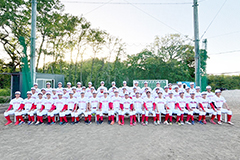 東京新大学野球連盟所属チーム