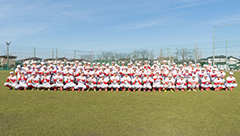 硬式野球部首都大学野球連盟所属チーム