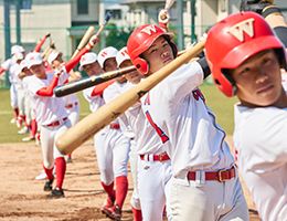 関甲新学生野球連盟所属チーム